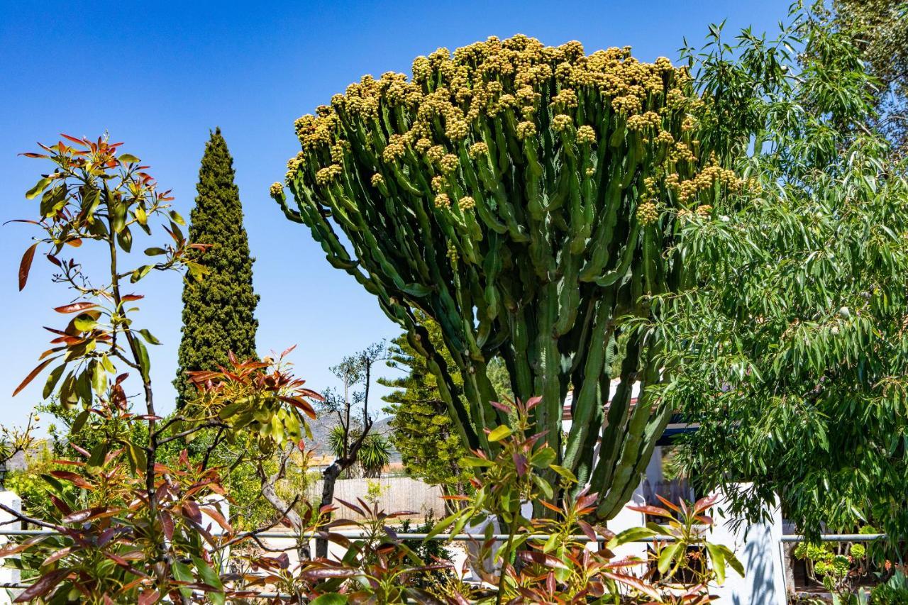 The Palms Boutique Málaga - Adults Only Bed and breakfast Alhaurín de la Torre