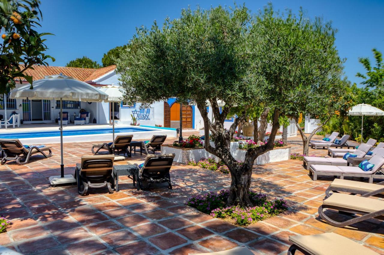 The Palms Boutique Málaga - Adults Only Bed and breakfast 5*