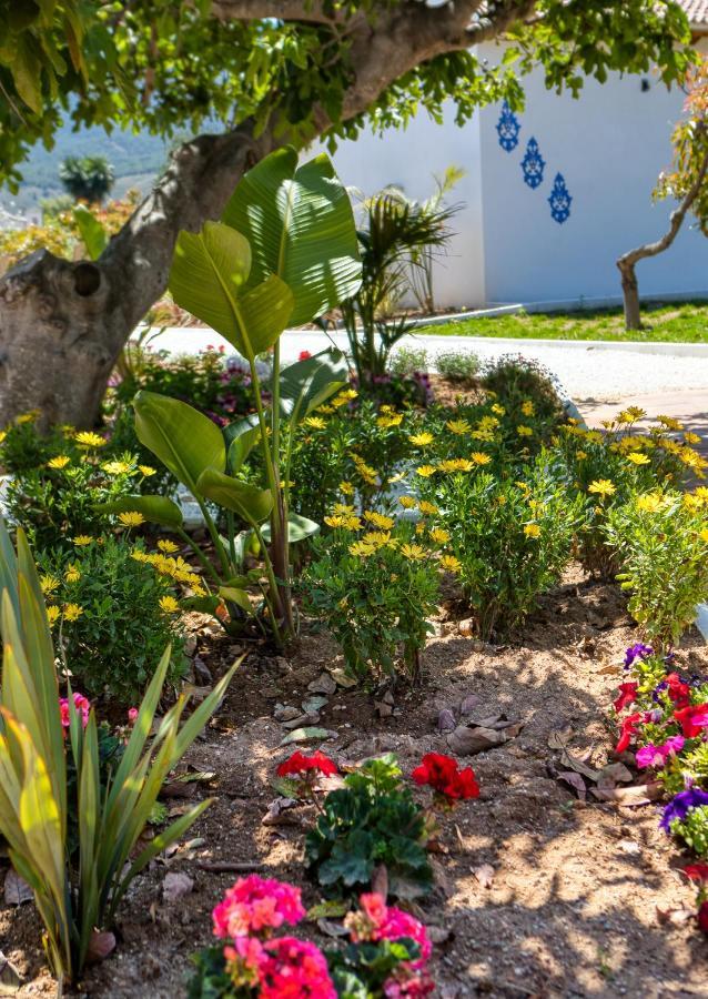 Bed and breakfast The Palms Boutique Málaga - Adults Only 5*
